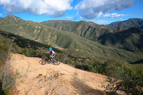 What is the best mountain bike frame