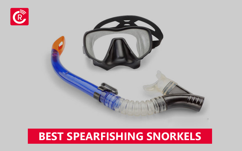 Best Spearfishing Snorkels