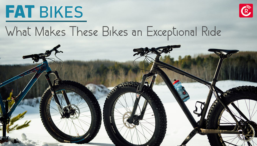 Fat Bikes