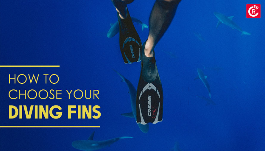 How To Choose Your Diving Fins