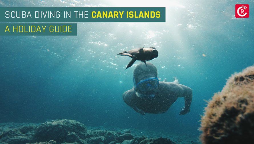 Scuba Diving In The Canary Islands: A Holiday Guide