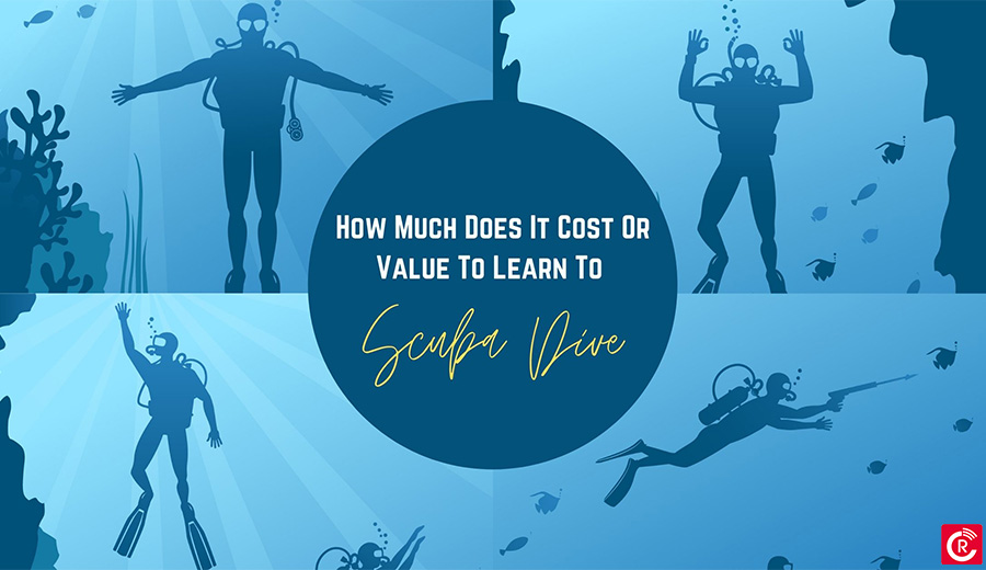 How Much Does It Cost Or Value To Learn To Scuba Dive