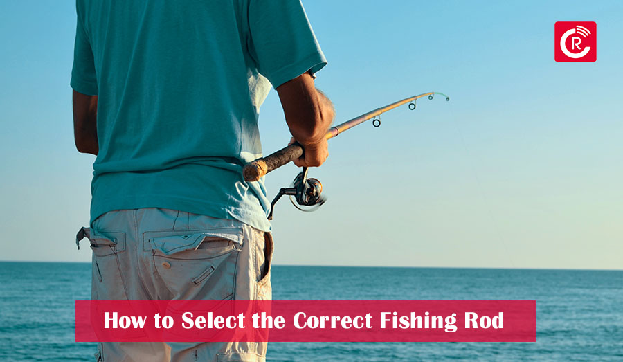 How to Select the Correct Fishing Rod