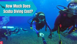 How Much Does Scuba Diving Cost?