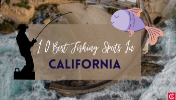 10 Best Fishing Spots In California