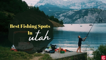 Best Fishing Spots In Utah