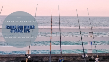 Fishing Rod Winter Storage Tips