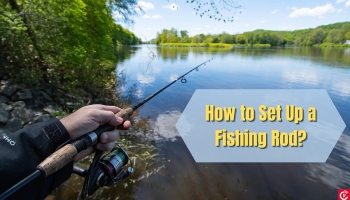 How to Set Up a Fishing Rod?
