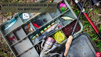 What Are The Essential Accessories We Should Have When Fishing?